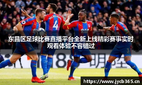 辉达娱乐