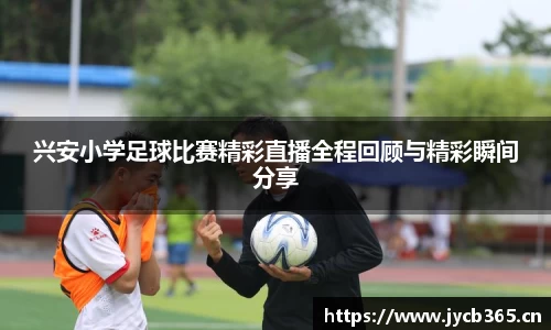 辉达娱乐