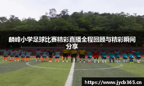 辉达娱乐注册