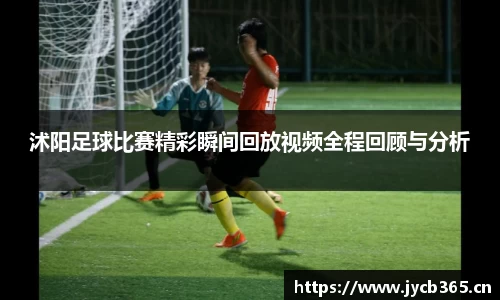 辉达娱乐