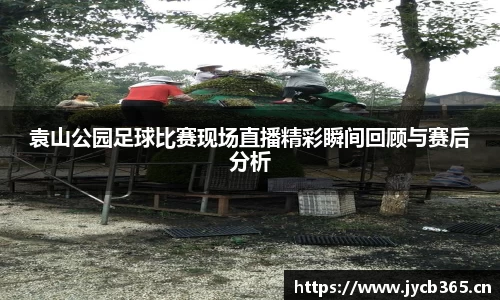辉达娱乐官网