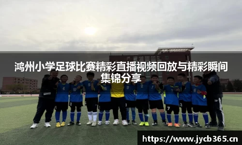 辉达娱乐登录