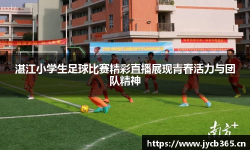 辉达娱乐